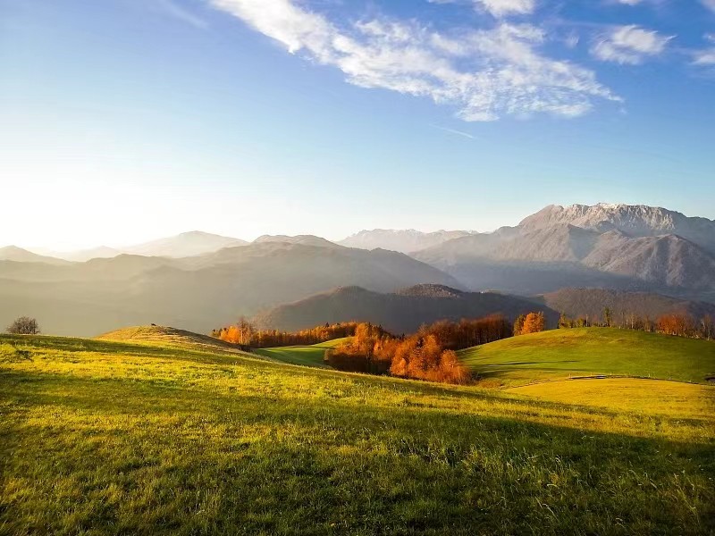 史悦 散文——《处暑:夏末的诗意与秋初的希望》